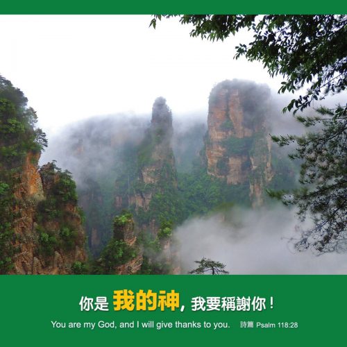張家界, Judy Jiang