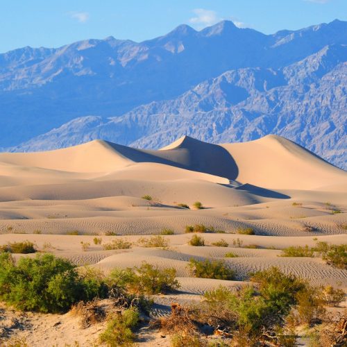 Charles Lei, Death Valley
