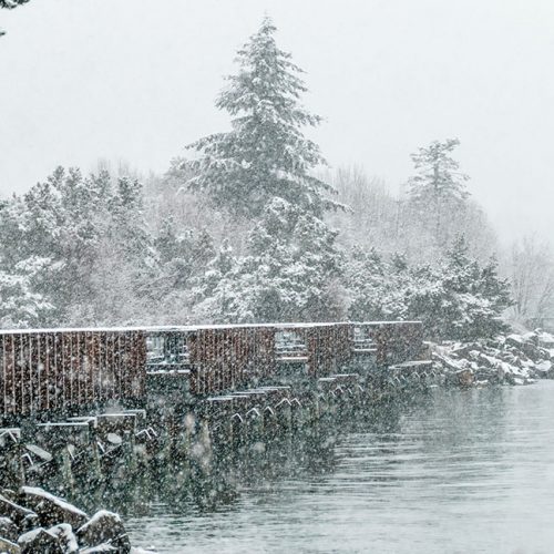 Charles Lei, Boulevard Park, WA