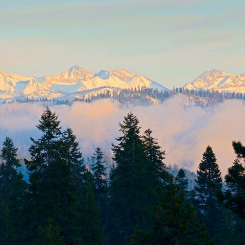 Clement Le, Sequoia National Park