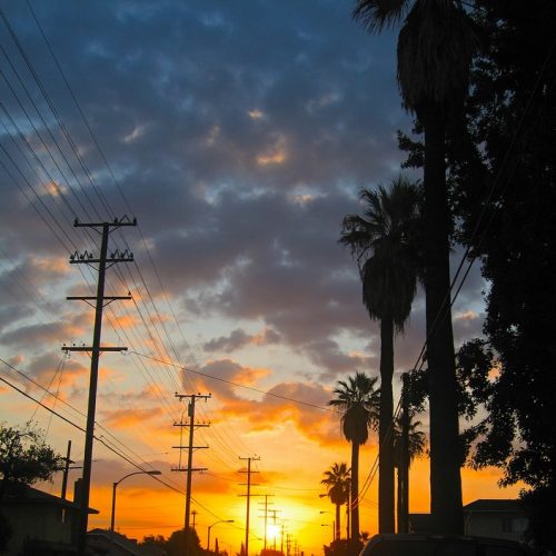 Eileen Hu, 晨曦 Hellman Ave. F