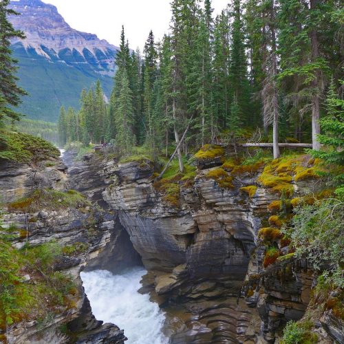 Eilleen Hu, Maligne Canyon Jaspser Canada