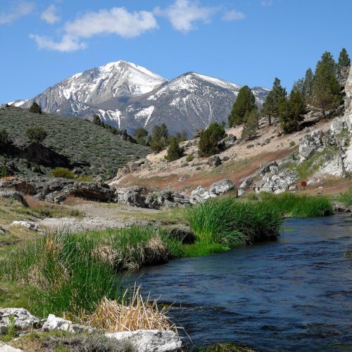 James Yao, Hot Creek Eastern Sierra