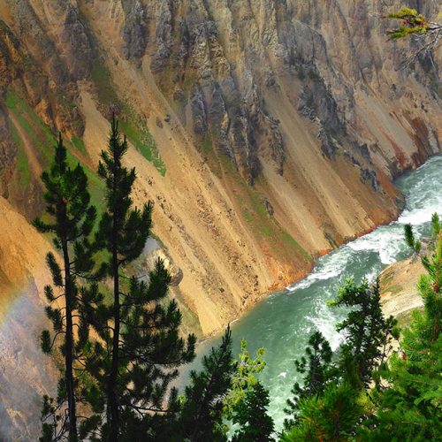 James Yao, Yellowstone