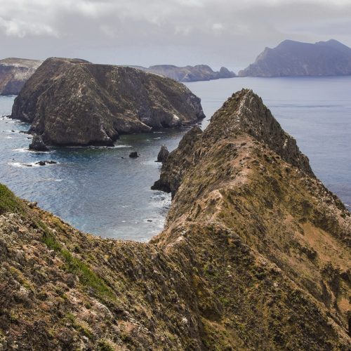 James Zhang, Channel Island