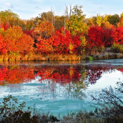 Tracy Lee, Copperfields Ponds Park. Minnesota