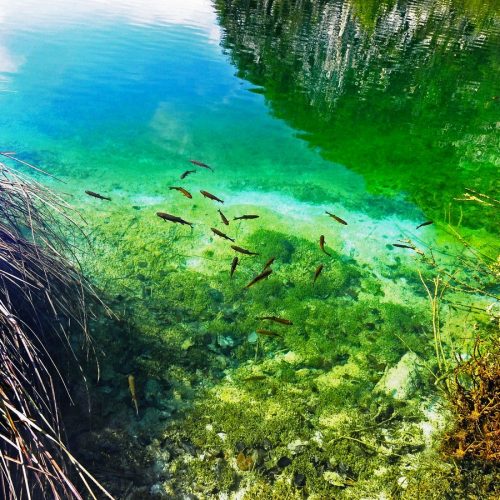 Tracy Lee, Plitvice National Park