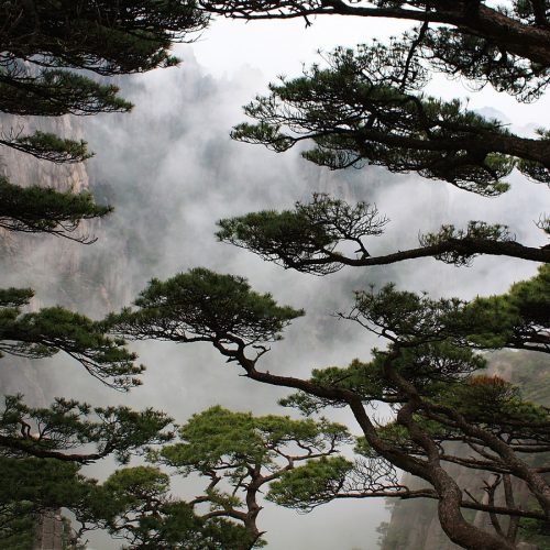Wendy Qu, Yellow Mountain, China