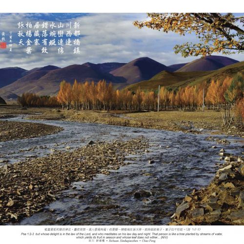 四川 新都橋，Chao Feng