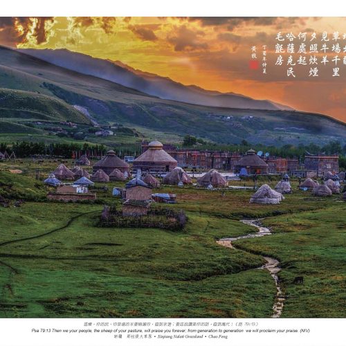 新彊 那拉堤大草原，Chao Feng