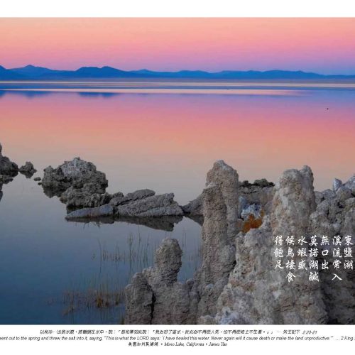 美國加州莫諾湖, James Yao