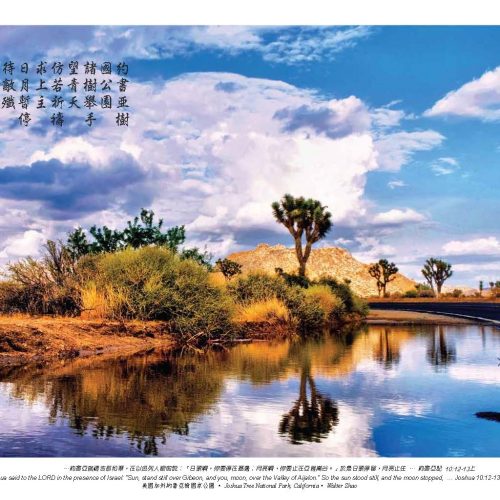 美國加州約書亞樹國家公園, Walter Zhao