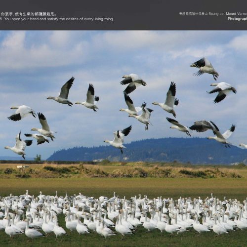 Rising up-Mount Vernon, Washington: Erbi Wan