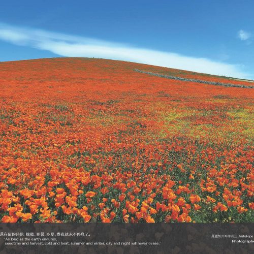 Antelope Hill, California: Wendy Qu