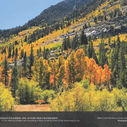 Bishop Creek Canyon, California: Alice Liu